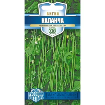 Вигна 