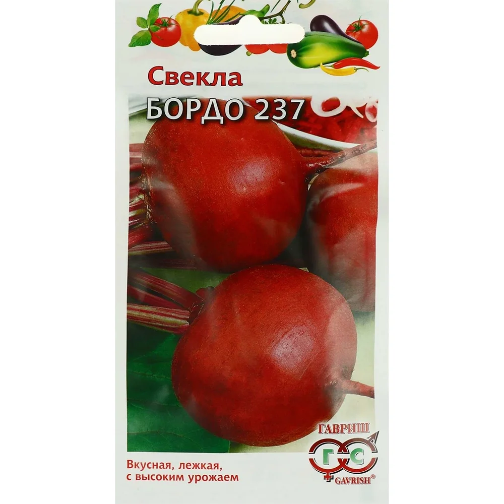свекла бордо 237 3г