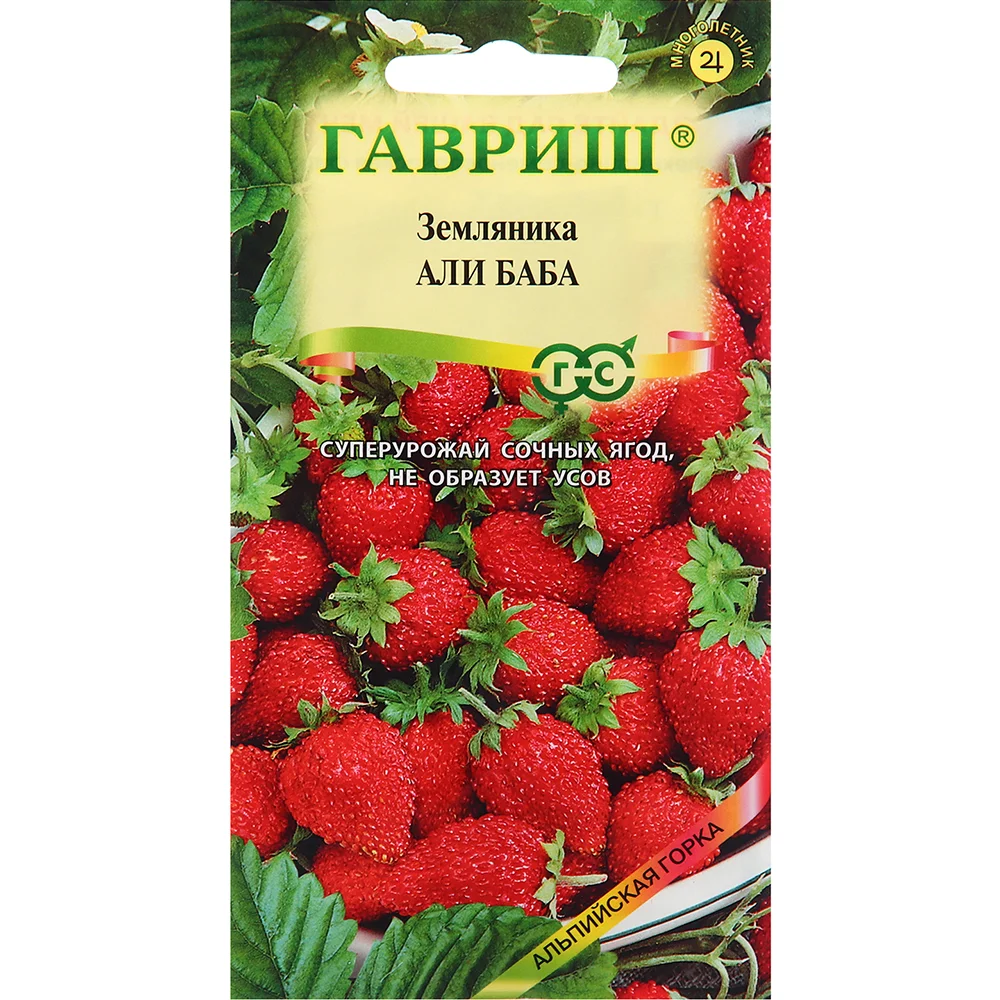 земляника ремонтантная али-баба 0-03г