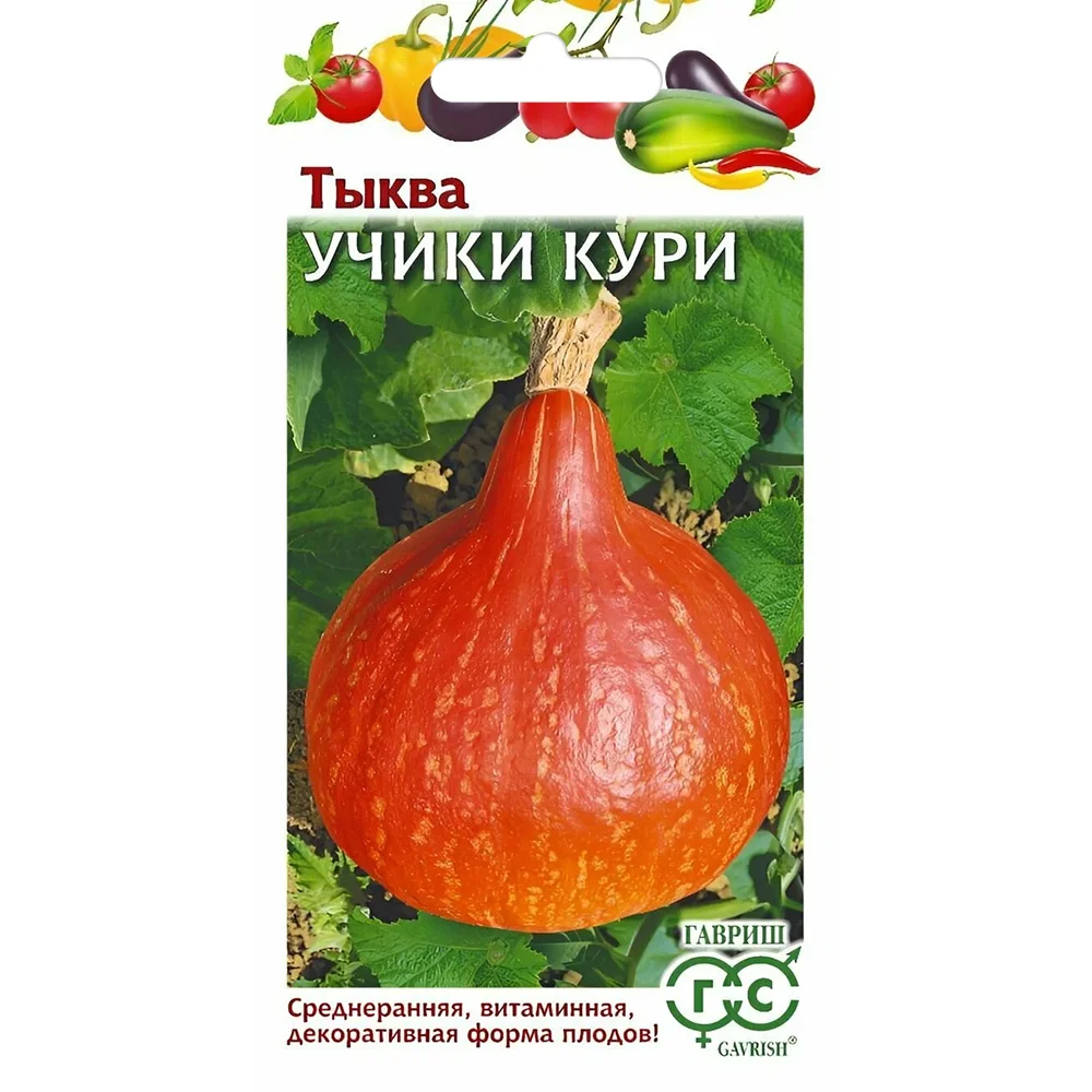 тыква учики кури 5шт