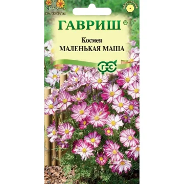Космея дваждыперистая 
