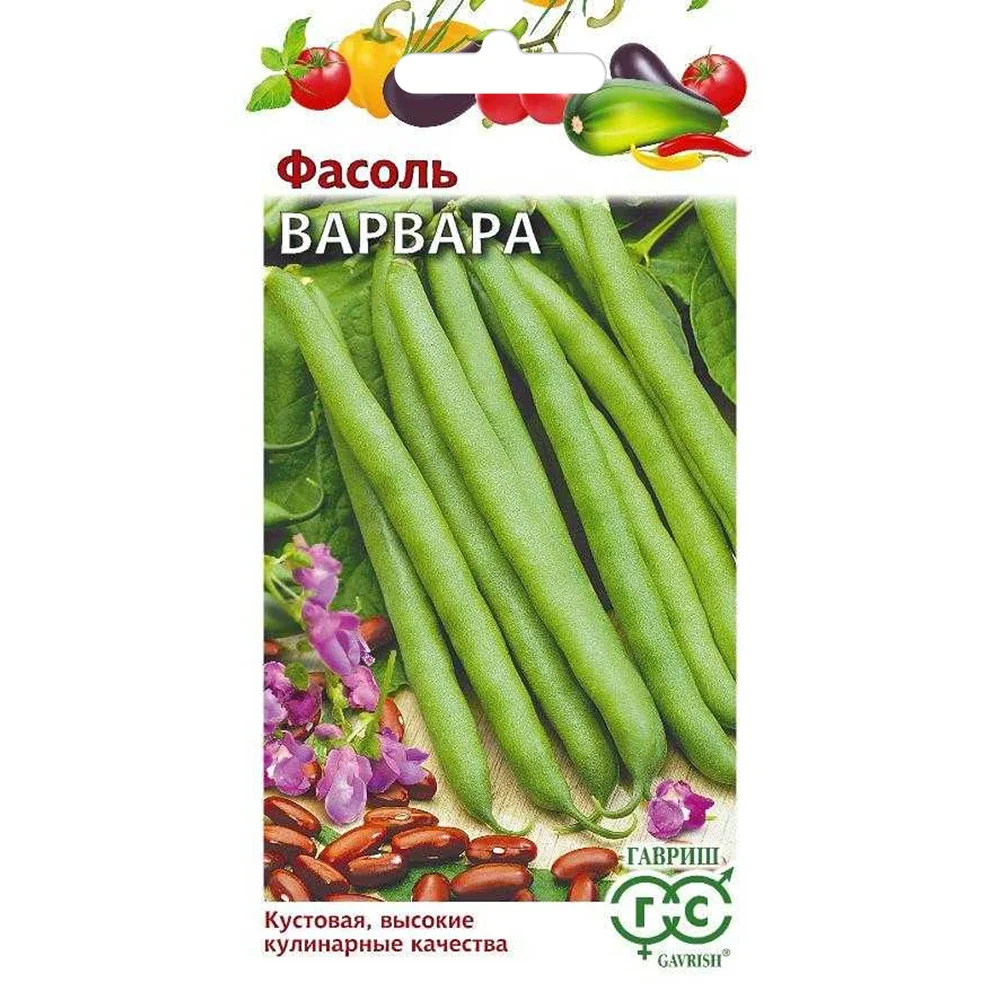 фасоль кустовая зерновая варвара- 5г