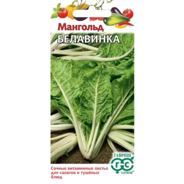 Мангольд (свекла листовая) 