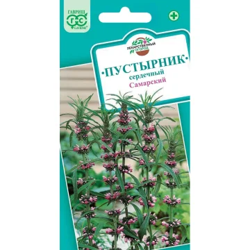 Пустырник сердечный 