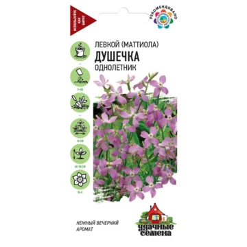 Маттиола двурогая 
