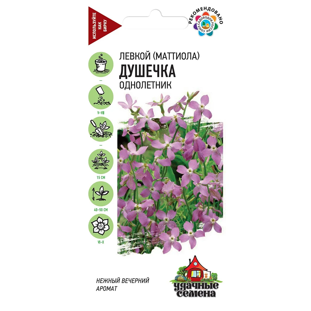 маттиола двурогая душечка- 0-3г