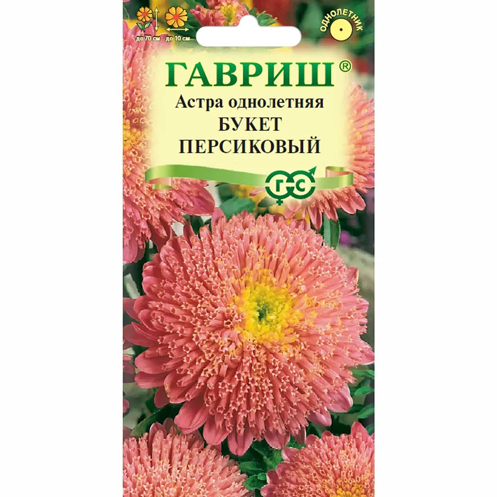 астра однолетняя букет персиковый- 0-3г
