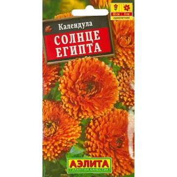 Календула лекарственная 