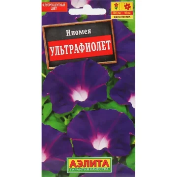 Ипомея 