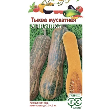 Тыква мускатная 