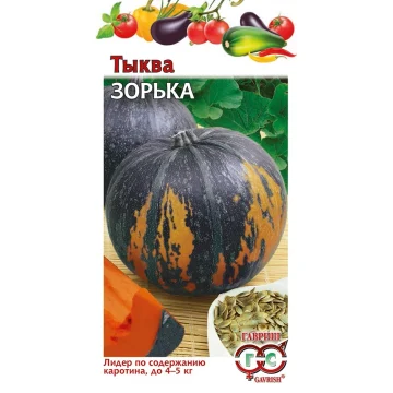 Тыква 