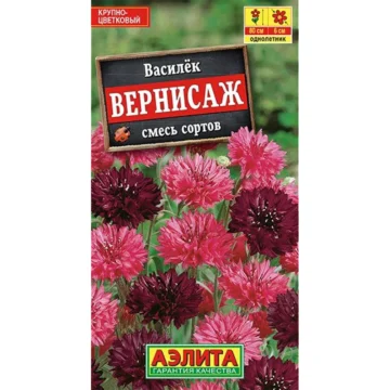 Василёк 
