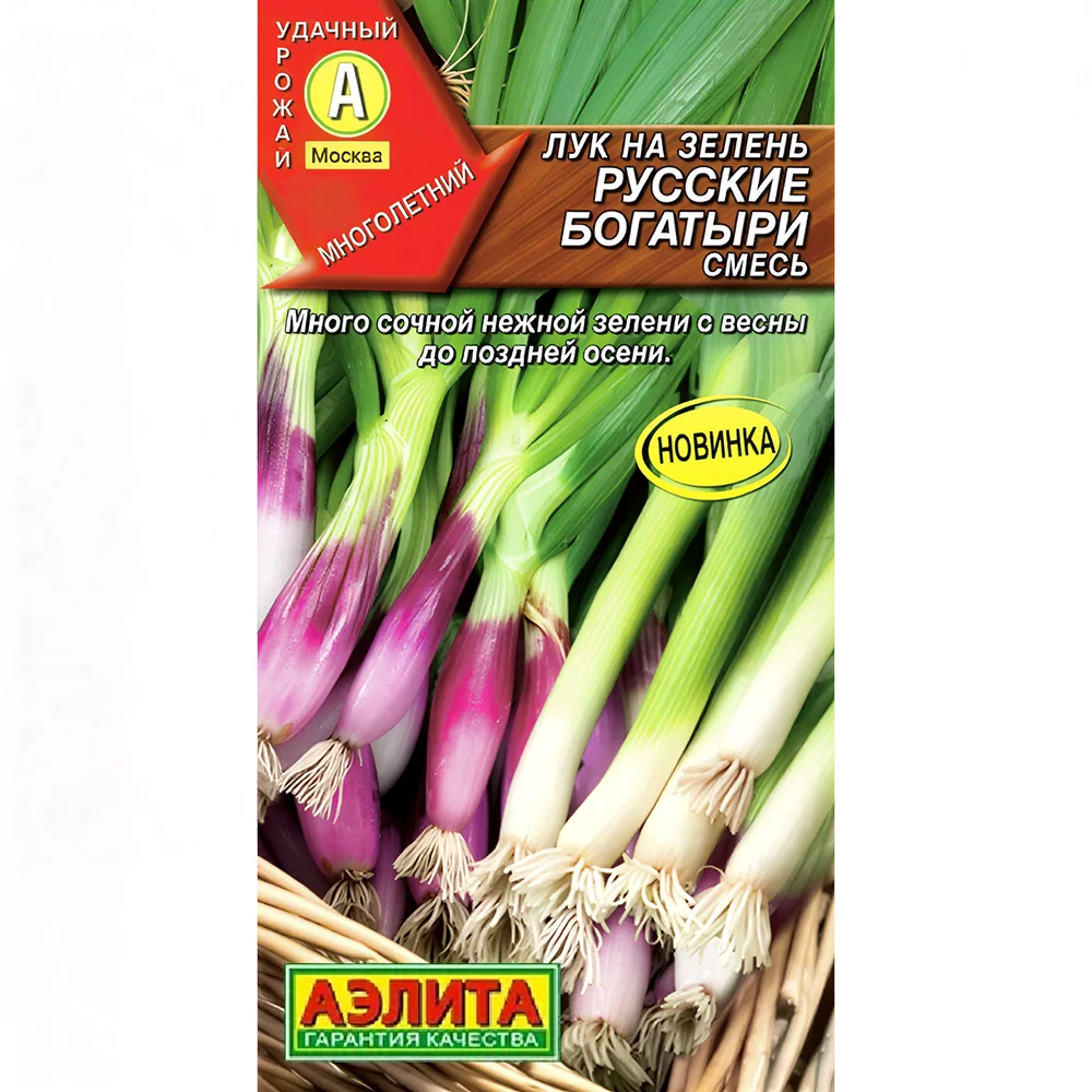 лук на зелень русские богатыри смесь 1г
