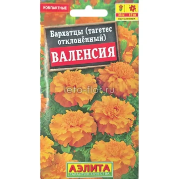 Тагетес (бархатцы) отклоненный 
