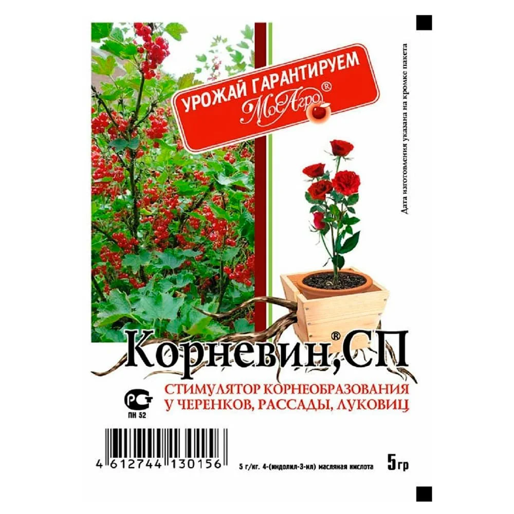 Корневин 5г